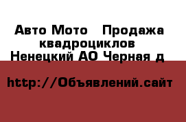 Авто Мото - Продажа квадроциклов. Ненецкий АО,Черная д.